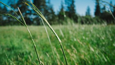 taapsee-pannu-womens-day-special