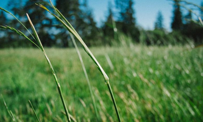 taapsee-pannu-womens-day-special