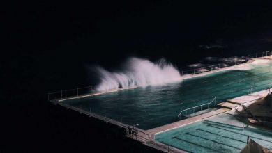 tax-evasion-restaurant-chains-search-operation