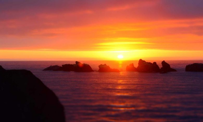 tejasswi-prakash-ott-debut-in-saiya