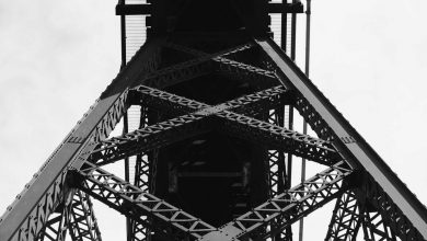 thalapathi-vijay-wife-sangita-petition