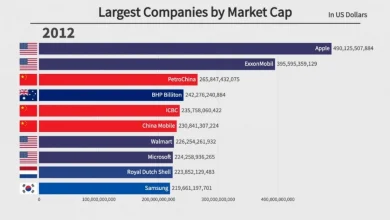 top-10-companies-m-cap-loss-0876
