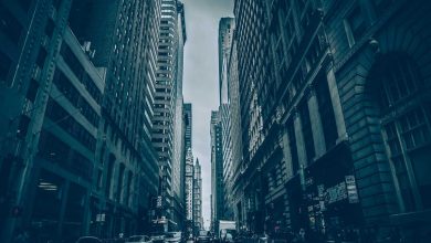 top-5-batsmen-t20-world-cup-2026