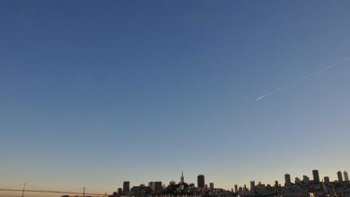 trisha-krishnan-best-movies