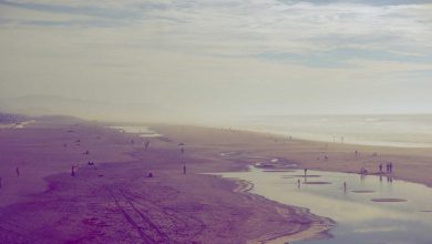 trump-china-plan-iran-war