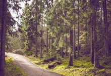 trump-iran-attack-statement