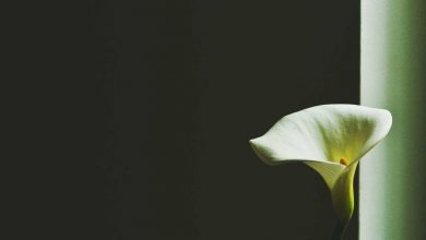 trump-loss-khamenei-supreme-leader