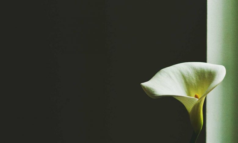 trump-loss-khamenei-supreme-leader