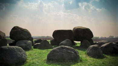 uae-air-defense-system-destroyed-iranian-drone