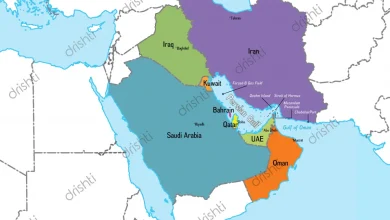 uae-hormuz-international-force