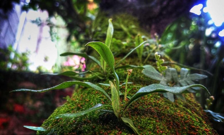 ugc-anti-rules-protest-swarn-samaj