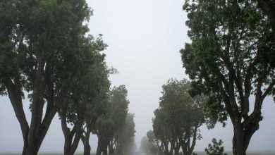 uk-sony-gamers-lawsuit