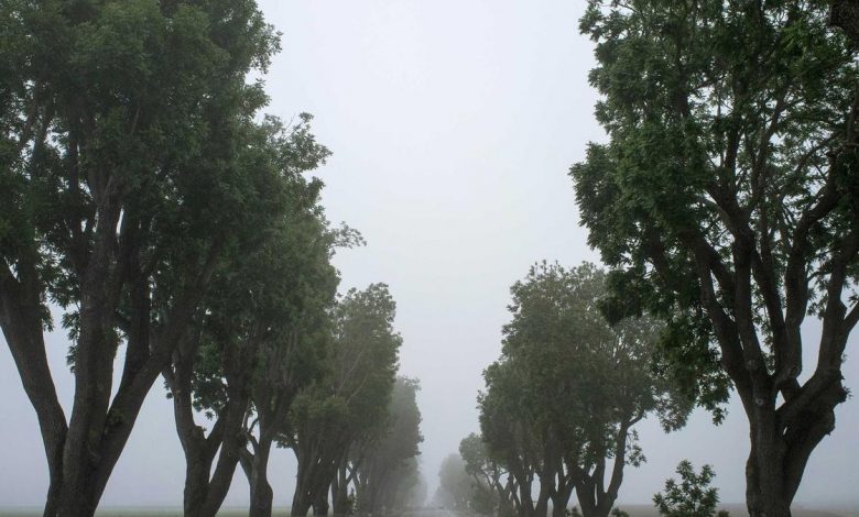 uk-sony-gamers-lawsuit