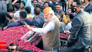 up-panchayat-elections-delay-high-court