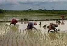 up-weather-alert-pre-monsoon-rain