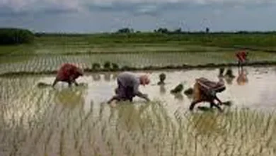 up-weather-alert-pre-monsoon-rain