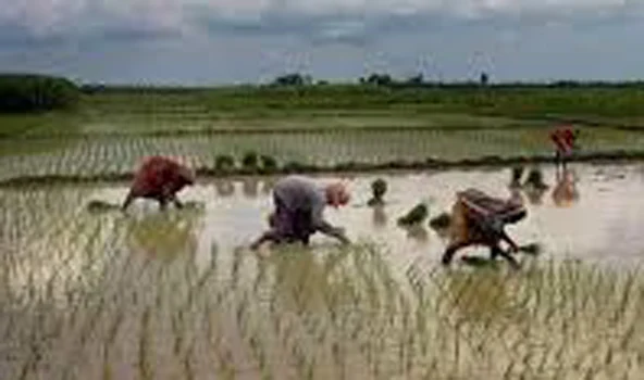 up-weather-alert-pre-monsoon-rain