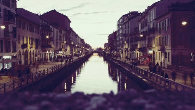 upcoming-thrillers-releases