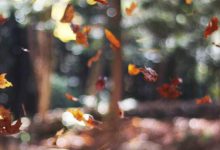 upsc-duplicate-candidates-same-rank