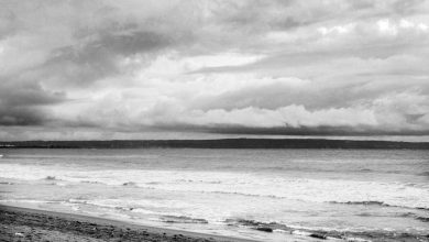 upsc-topper-success-story