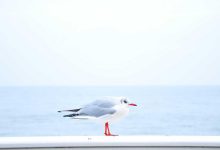 us-strikes-iran-tankers-gulf