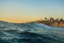 uttam-nagar-murder-case