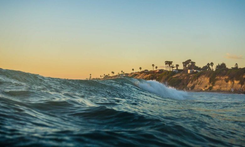 uttam-nagar-murder-case