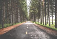 uttam-nagar-murder-case-arrests