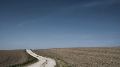 uttam-nagar-murder-case-politics