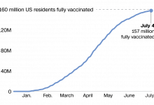 vaccination-history-india