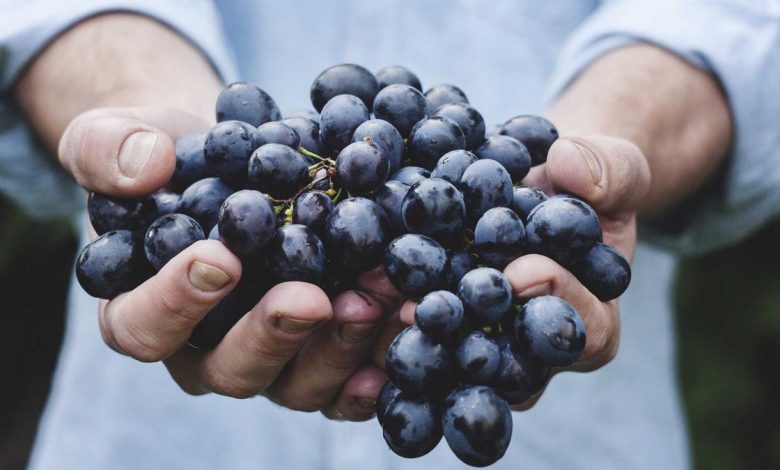 vampire-power-charger-energy-waste