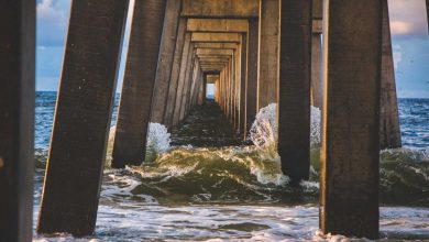 viral-post-changes-fate-engineer-interview