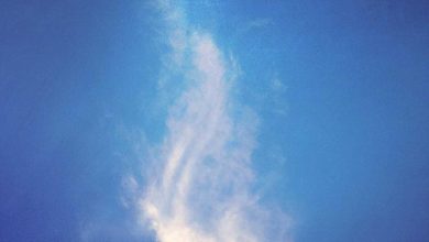 war-machine-ott-release-review