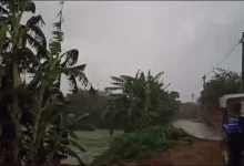 weather-update-bihar-farmers-concern