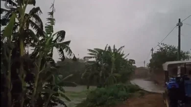 weather-update-bihar-farmers-concern