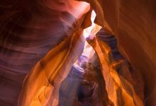 wheat-procurement-price-increased