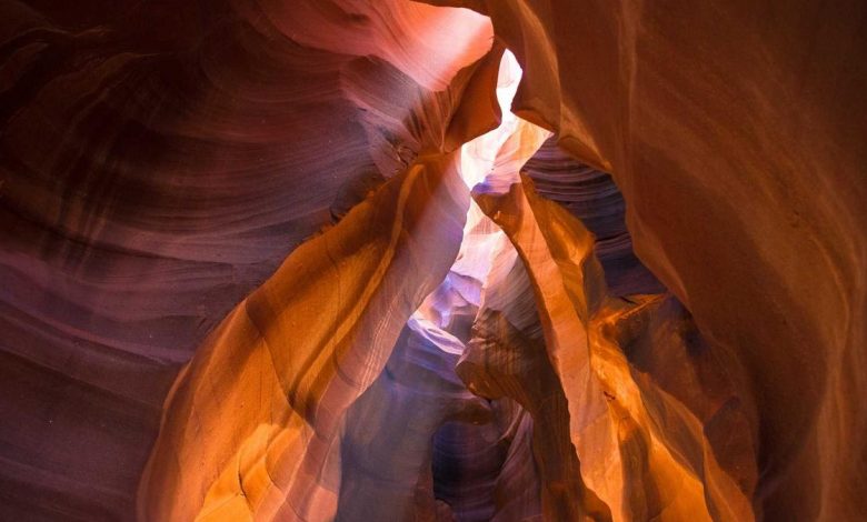 wheat-procurement-price-increased