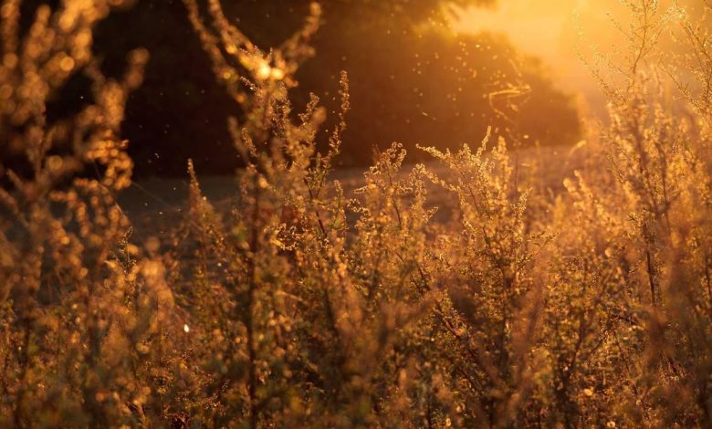 wheeled-ac-for-easy-cooling