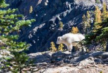 where-has-the-90s-lady-villain-gone