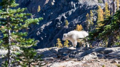 where-has-the-90s-lady-villain-gone