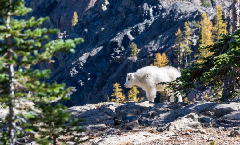 where-has-the-90s-lady-villain-gone