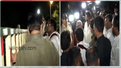 who-is-sofia-firdaus-congress-rebel