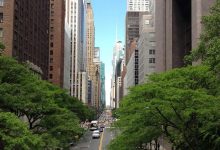 why-are-air-new-zealand-planes-black