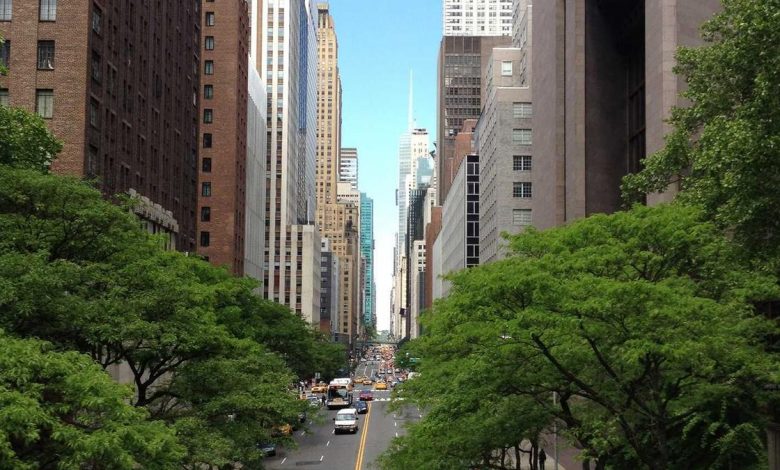 why-are-air-new-zealand-planes-black