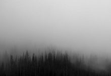 why-houthis-are-quiet-in-iran-israel-conflict