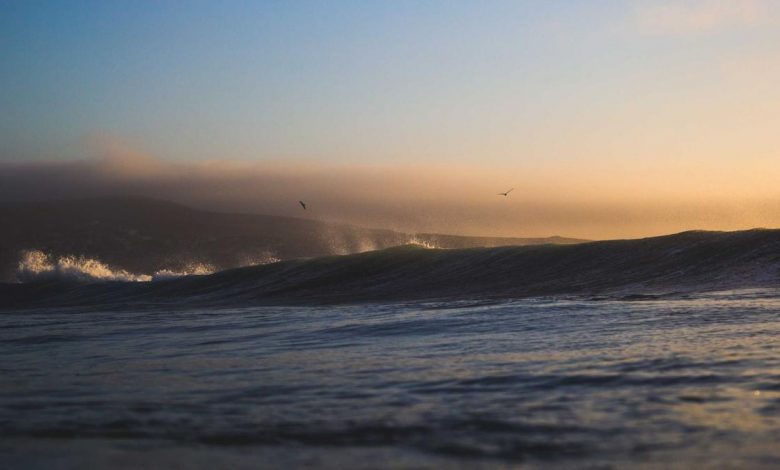 yogi-adityanath-anganwadi-workers-benefits