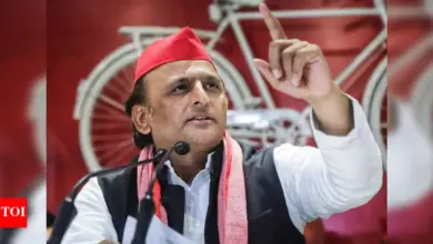 akhilesh-yadav-effigy-burning-bjp-mla