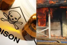 aunt-falls-in-love-with-nephew