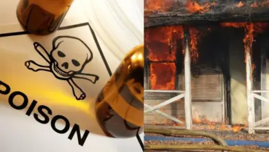 aunt-falls-in-love-with-nephew