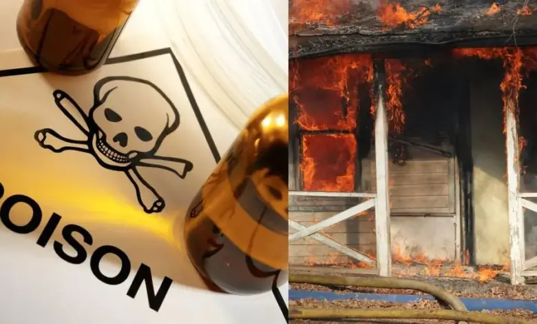 aunt-falls-in-love-with-nephew